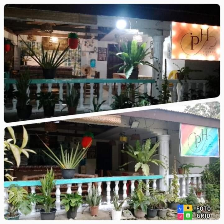Paraiso Hostel 몰볼 외부 사진